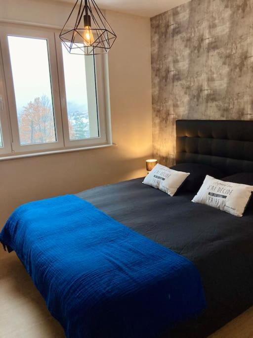Les Fougeres 12 Personnes Spa/sauna Holiday home *